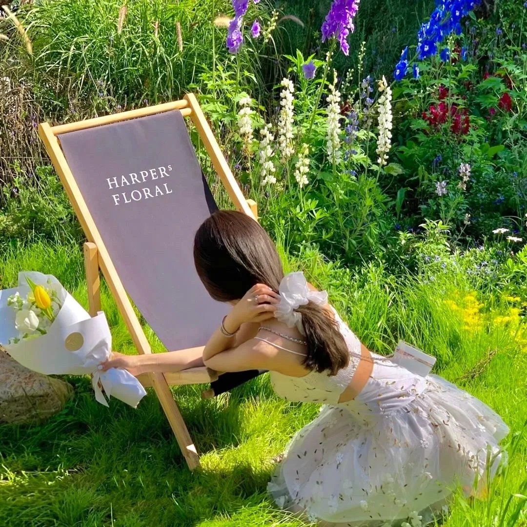 丛林有情狼3：伟大的狼游戏